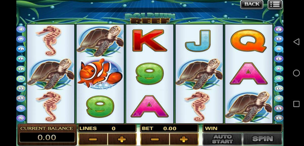 dolphin reef online slot gameplay