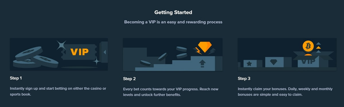 how to become vip on stake casino